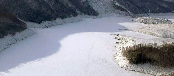 布列亞河 布列亞河 - 俄羅斯衛星通訊社