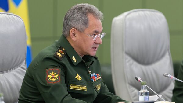 俄國防部長：首個“先鋒”高超聲速導彈團將於今年12月進入戰鬥值班 - 俄羅斯衛星通訊社