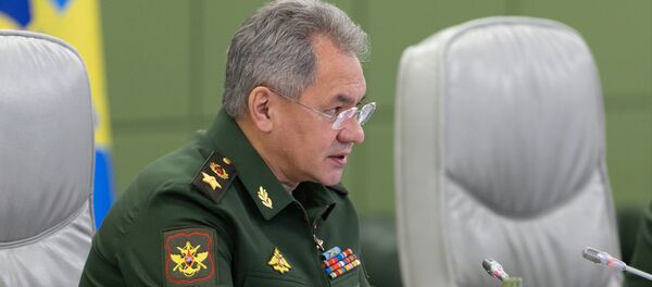 俄国防部长：首个“先锋”高超声速导弹团将于今年12月进入战斗值班 - 俄罗斯卫星通讯社