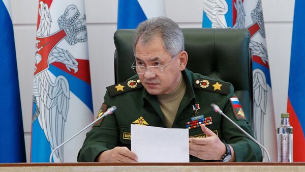 Министр обороны РФ Сергей Шойгу - 俄罗斯卫星通讯社