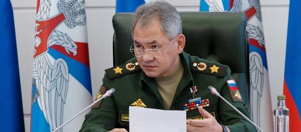 Министр обороны РФ Сергей Шойгу - 俄羅斯衛星通訊社
