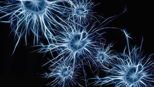 Нейроны мозга - 俄罗斯卫星通讯社