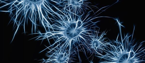 Нейроны мозга - 俄罗斯卫星通讯社