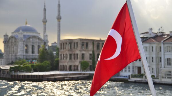 Турецкий флаг на фоне стамбульского пейзажа - 俄罗斯卫星通讯社