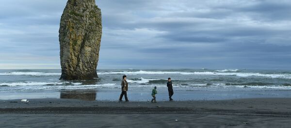 俄議員：若俄日和平條約涉及賠償問題 則應由日方承擔 - 俄羅斯衛星通訊社