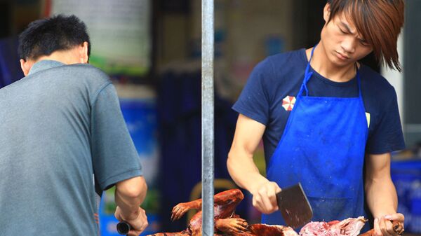  韩国吃狗肉的传统正在消失 - 俄罗斯卫星通讯社