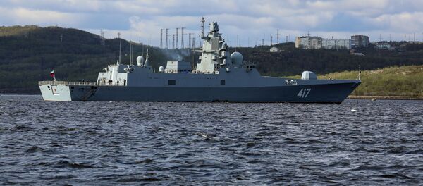 俄罗斯致幻武器的信息出现 - 俄罗斯卫星通讯社