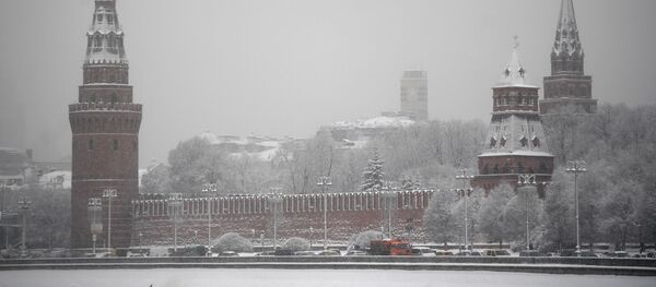 克宫期待相关部门今日就“鲸鱼监狱”虎鲸和白鲸命运做出决定 - 俄罗斯卫星通讯社