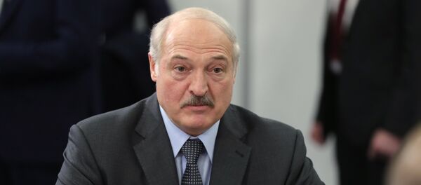 Президент Белоруссии Александр Лукашенко во время встречи с президентом РФ Владимиром Путиным. - 俄罗斯卫星通讯社