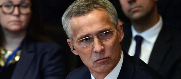 北约秘书长将于3月访问格鲁吉亚 - 俄罗斯卫星通讯社