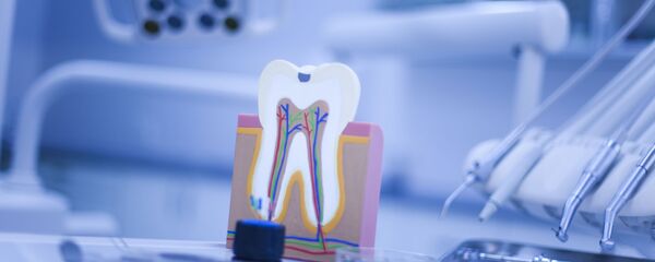 Схема зуба в стоматологическом кабинете  - 俄罗斯卫星通讯社