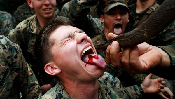 “金色眼鏡蛇”軍演在泰舉行 士兵飲蛇血吃蠍子 - 俄羅斯衛星通訊社