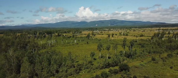 米哈伊尔的地块 - 俄罗斯卫星通讯社