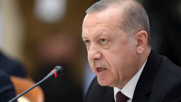 土耳其总统呼吁利比亚国民军停止对的黎波里的进攻 - 俄罗斯卫星通讯社