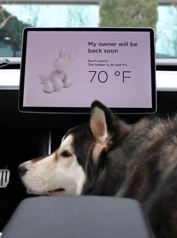 特斯拉電動車推出狗狗模式 特斯拉電動車推出狗狗模式 - 俄羅斯衛星通訊社