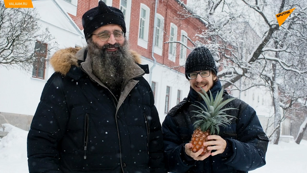 俄罗斯僧侣在寒冷的北方种植菠萝 - 俄罗斯卫星通讯社