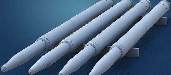 俄机械制造技术集团：俄首次在海外展出C-13-T导弹 - 俄罗斯卫星通讯社