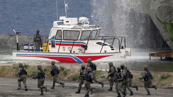 阿联酋军队 - 俄罗斯卫星通讯社
