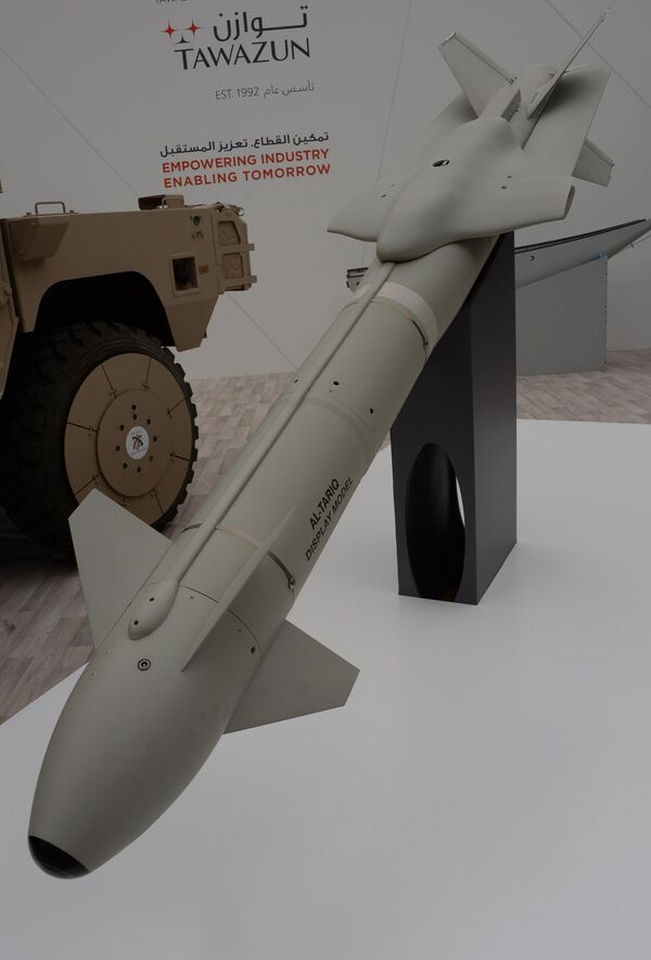 阿布扎比国际防务展上展出南非Tаwаzun Dynаmics-Dеnel 公司研制的“阿尔·塔里克”（Al Tariq）航空炸弹。 - 俄罗斯卫星通讯社