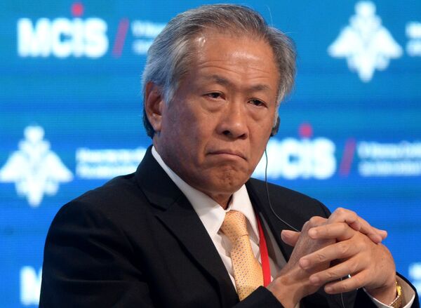 新加坡国防部长黄永宏 新加坡国防部长黄永宏 - 俄罗斯卫星通讯社