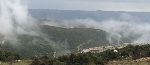 叙利亚伊德立卜发生2起爆炸  15人死亡 - 俄罗斯卫星通讯社