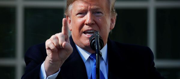 Президент США Дональд Трамп. - 俄罗斯卫星通讯社