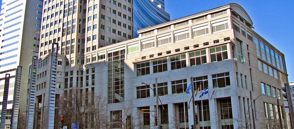 國際民航組織：等待波音737 MAX 8墜毀調查結果 - 俄羅斯衛星通訊社