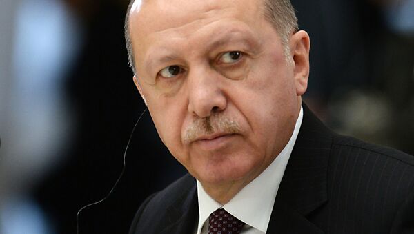 Президент Турецкой Республики Реджеп Тайип Эрдоган - 俄羅斯衛星通訊社