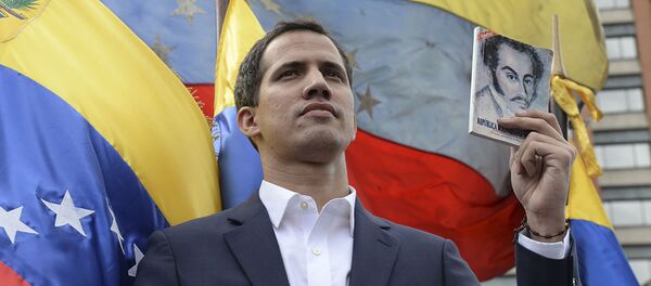 媒体：瓜伊多在哥伦比亚会见一些拉美国家领导人 - 俄罗斯卫星通讯社