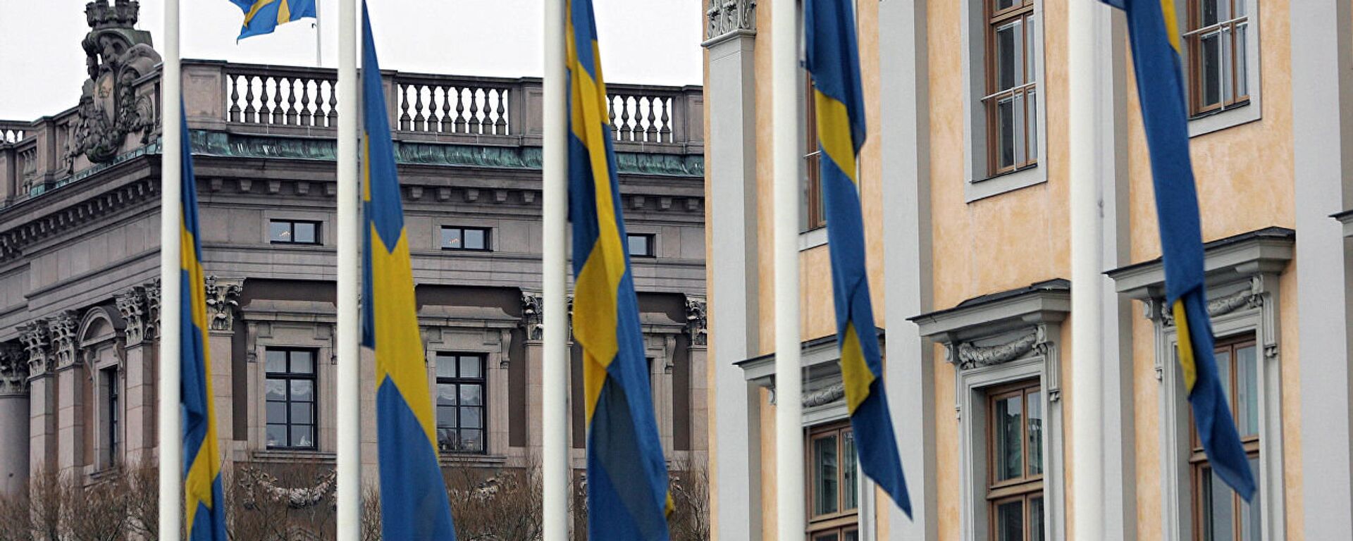 瑞典外交大臣批评北约对乌克兰援助不足并呼吁为俄罗斯制造更多困难 - 俄罗斯卫星通讯社, 1920, 27.03.2024