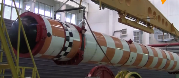 “波塞冬”无人潜航器成功通过海上试验场试验 - 俄罗斯卫星通讯社