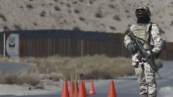 墨美边境 - 俄罗斯卫星通讯社