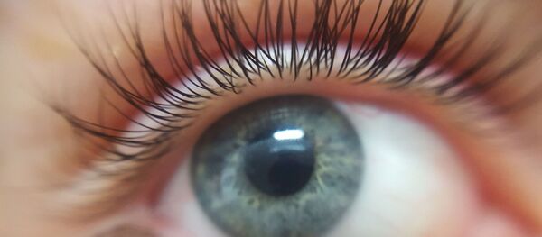 眼睛 - 俄罗斯卫星通讯社