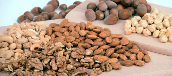 英国游客因对坚果过敏被强制下飞机 - 俄罗斯卫星通讯社