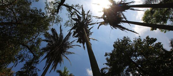 斯里蘭卡 - 俄羅斯衛星通訊社