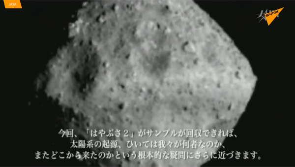 日本探測器“隼鳥2號”在“龍宮”成功著陸 - 俄羅斯衛星通訊社