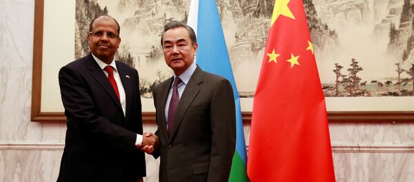 专家：中国或加强在吉布提的军事存在 - 俄罗斯卫星通讯社