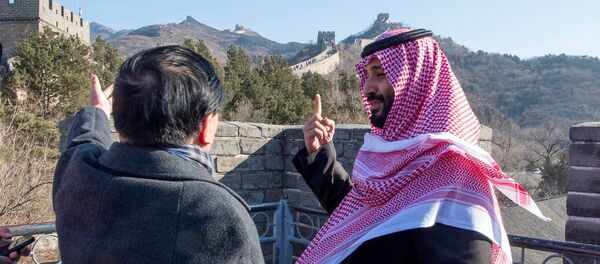 Saudi Arabia's Crown Prince Mohammed bin Salman is seen during his visit to Great Wall of China in Beijing Saudi Arabia's Crown Prince Mohammed bin Salman is seen during his visit to Great Wall of China in Beijing - 俄羅斯衛星通訊社