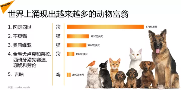 世界上湧現出越來越多的動物富翁 世界上湧現出越來越多的動物富翁 - 俄羅斯衛星通訊社