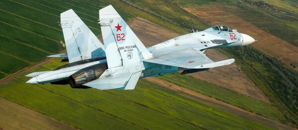 苏-27 - 俄罗斯卫星通讯社