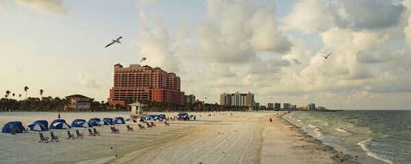 长着人齿的鱼被冲上美国海滩 - 俄罗斯卫星通讯社