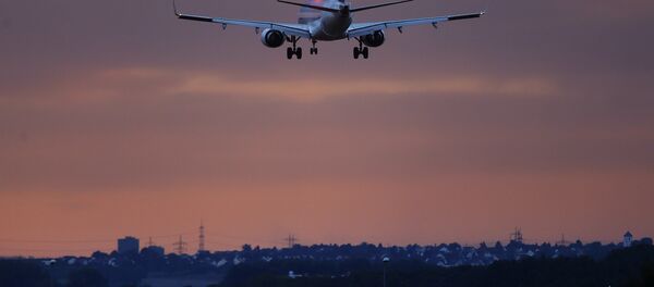 新加坡航空飛機 - 俄羅斯衛星通訊社