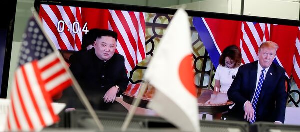 专家：美朝河内峰会令人失望 但不应离开谈判桌 - 俄罗斯卫星通讯社