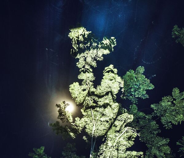 樹上的肖像 - 俄羅斯衛星通訊社