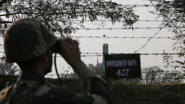 An India's Border Security Force soldier keeps vigil during patrol along the fenced border with Pakistan in Ranbir Singh Pura sector - 俄罗斯卫星通讯社