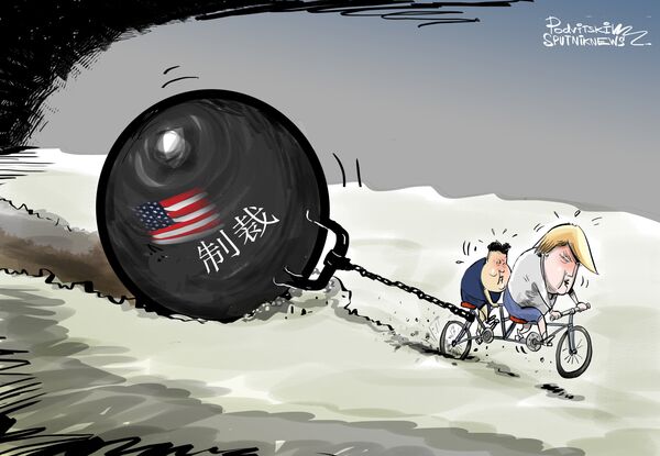 美國總統特朗普與朝鮮領導金正恩2月27日、28日在河內舉行的峰會未達成協議 - 俄羅斯衛星通訊社