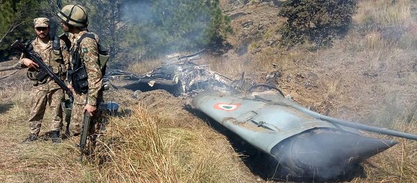 印度空军：新德里对巴方移交飞行员之决定表示欢迎 - 俄罗斯卫星通讯社