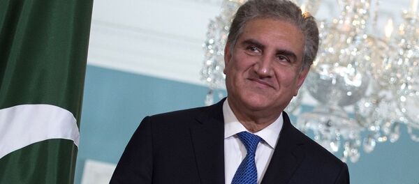 巴基斯坦外长库雷希 - 俄罗斯卫星通讯社