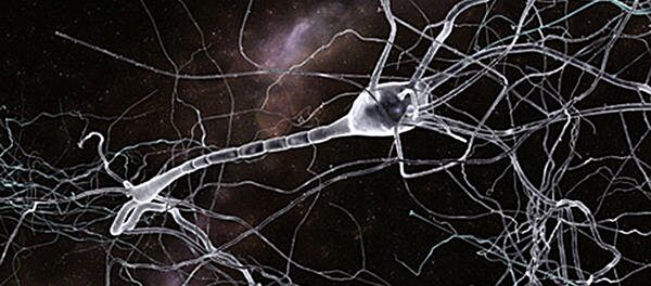 俄中美科學家聯手獲得Ⅱ型大麻素受體的晶體結構 有助於開發抗炎症藥物 - 俄羅斯衛星通訊社