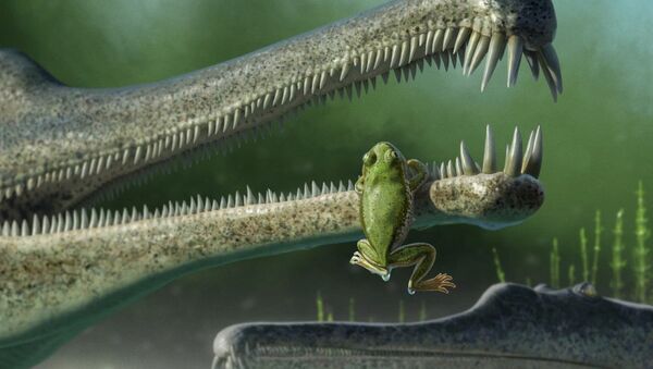 亚利桑那州发现2.16亿年小青蛙遗骸 - 俄罗斯卫星通讯社
